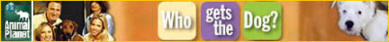 who_gets_dog